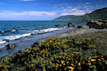 Mendecino coast