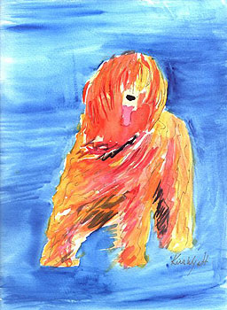 Orange Briard