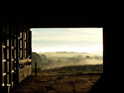 Reaping is done ... Rest has come