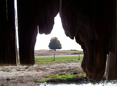 The Middle of Nowhere