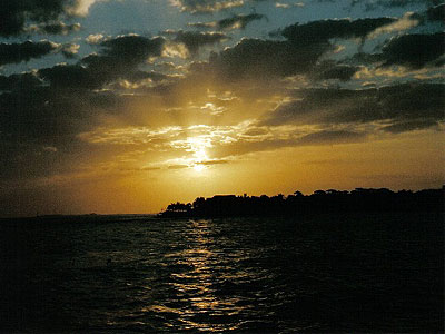 With Love, From Malorey